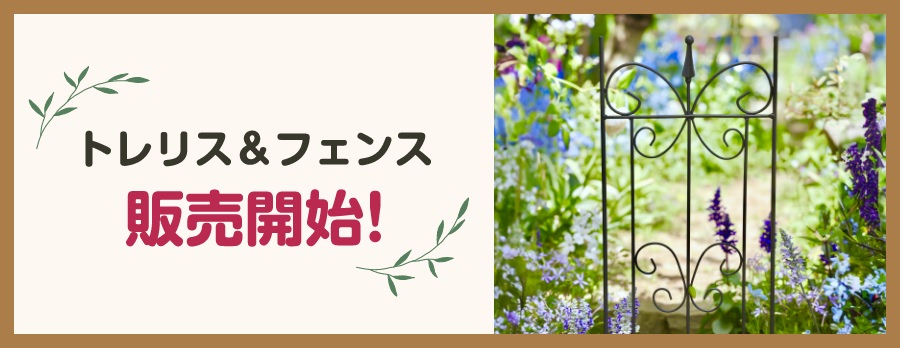 トレリス＆フェンス 販売開始！